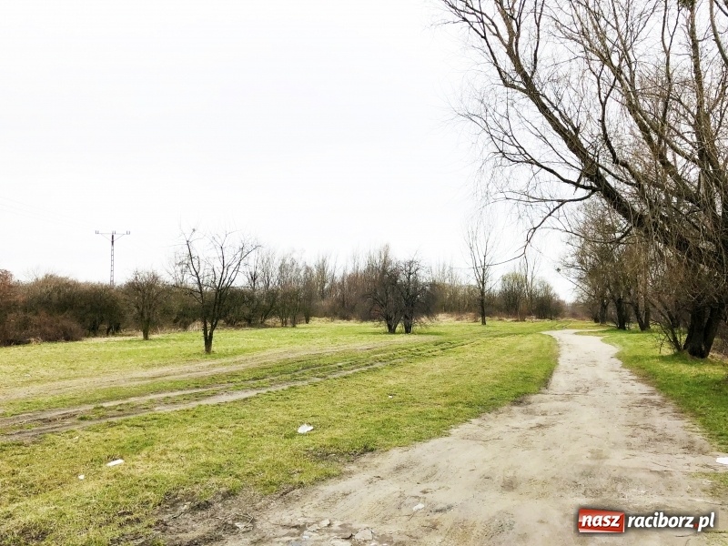Zdjęcie w galerii na portalu naszraciborz.pl: Miało być Acapulco, a będzie park? Prezydent ma pomysł na zagospodarowanie pożwirowisk na Ostrogu wiadomości z regionu