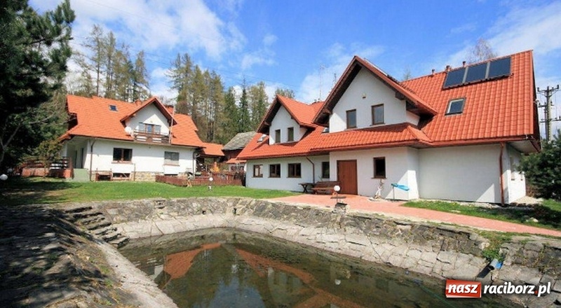 Zdjęcie w galerii na portalu naszraciborz.pl: Wystartowały zapisy na obozy ART CAMP PIENINY i TREKKING W SZWAJCARII wiadomości z regionu