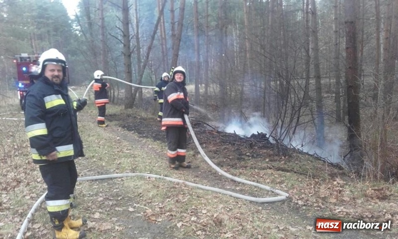 Zdjęcie w galerii na portalu naszraciborz.pl: Pożar lasu w Rudach. Do akcji zadysponowano samolot gaśniczy wiadomości z regionu