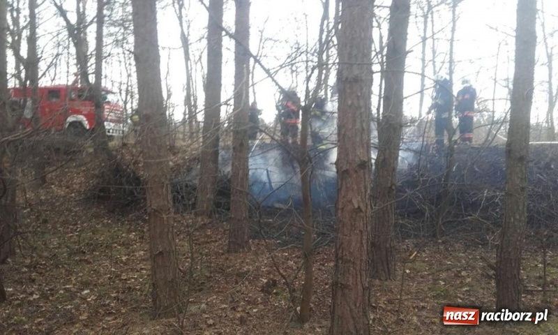 Zdjęcie w galerii na portalu naszraciborz.pl: Pożar lasu w Rudach. Do akcji zadysponowano samolot gaśniczy wiadomości z regionu