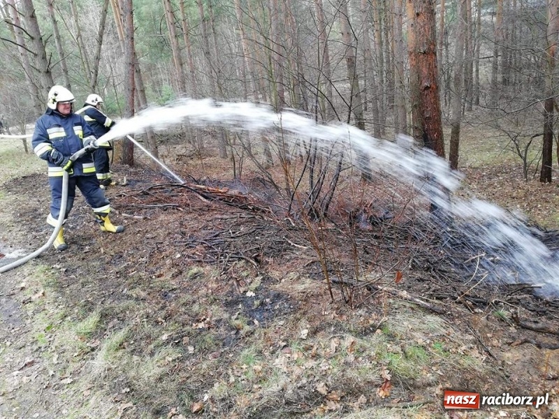 Zdjęcie w galerii na portalu naszraciborz.pl: Pożar lasu w Rudach. Do akcji zadysponowano samolot gaśniczy wiadomości z regionu