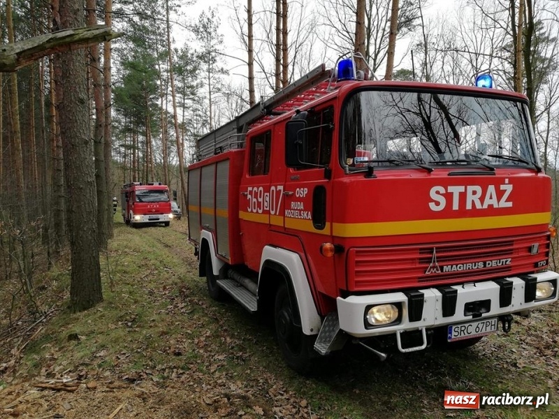 Zdjęcie w galerii na portalu naszraciborz.pl: Pożar lasu w Rudach. Do akcji zadysponowano samolot gaśniczy wiadomości z regionu