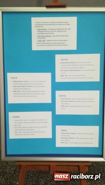 Zdjęcie w galerii na portalu naszraciborz.pl: Polsko-czeska dyskusja o autyzmie na raciborskim zamku  wiadomości z regionu