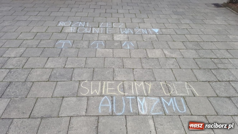 Zdjęcie w galerii na portalu naszraciborz.pl: Polsko-czeska dyskusja o autyzmie na raciborskim zamku  wiadomości z regionu