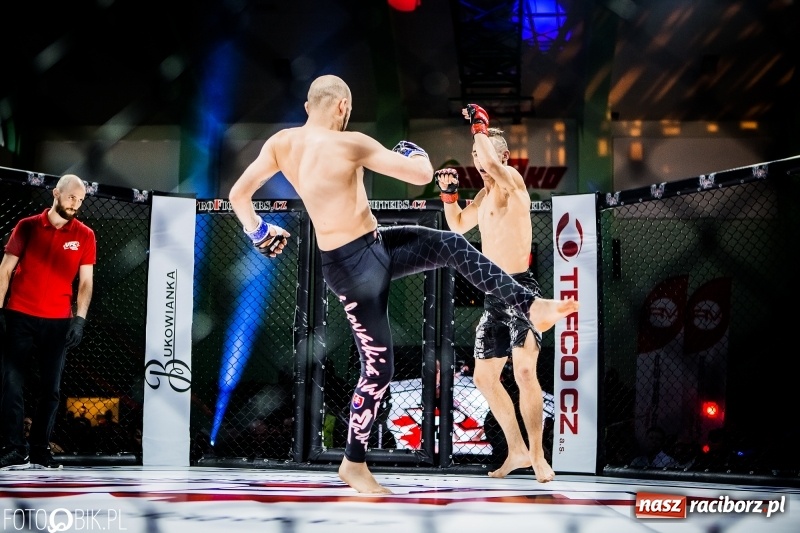 Zdjęcie w galerii na portalu naszraciborz.pl: Czeczen ze Stargardu za mocny dla Mariusza Magdy. Wygrał z marszu WIDEO i FOTO wiadomości z regionu