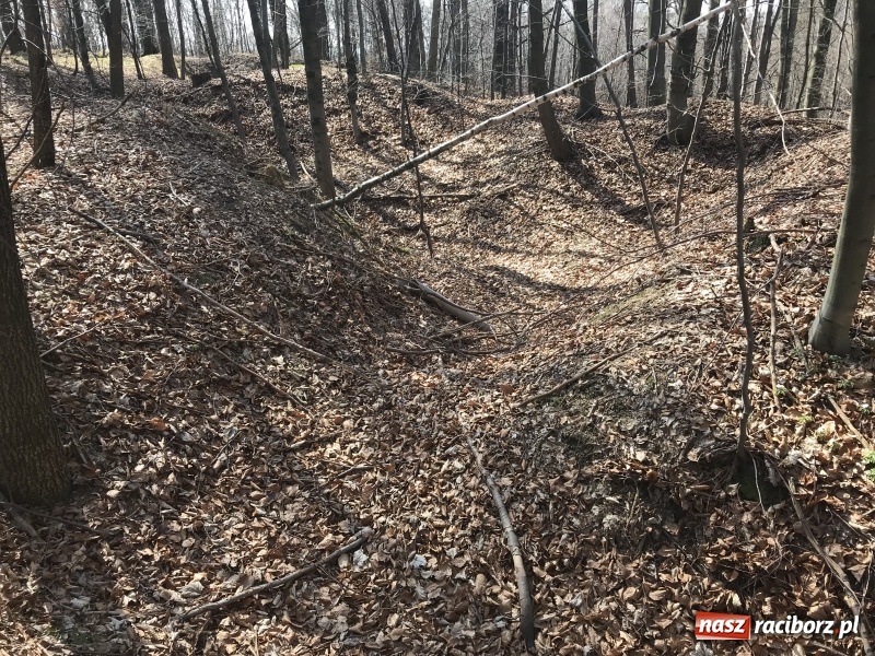 Zdjęcie w galerii na portalu naszraciborz.pl: Tajemnice II wojny światowej. Las Widok w Brzeziu FOTO i WIDEO wiadomości z regionu