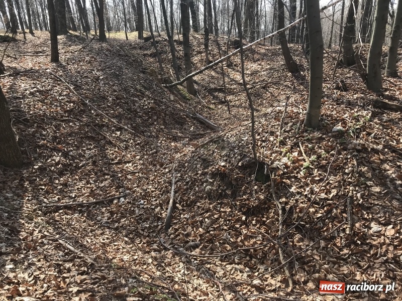 Zdjęcie w galerii na portalu naszraciborz.pl: Tajemnice II wojny światowej. Las Widok w Brzeziu FOTO i WIDEO wiadomości z regionu