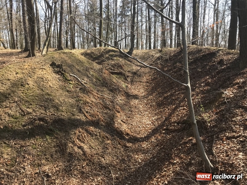 Zdjęcie w galerii na portalu naszraciborz.pl: Tajemnice II wojny światowej. Las Widok w Brzeziu FOTO i WIDEO wiadomości z regionu