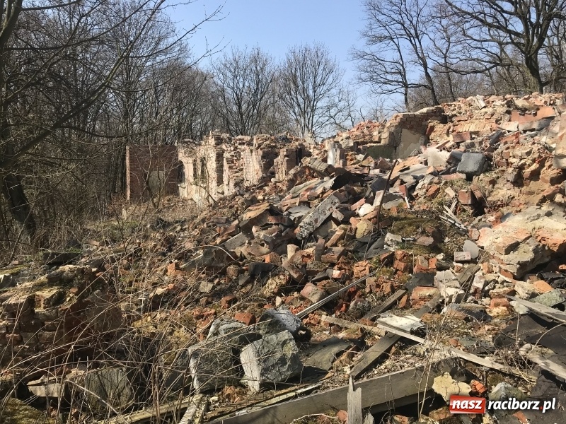 Zdjęcie w galerii na portalu naszraciborz.pl: Tajemnice II wojny światowej. Las Widok w Brzeziu FOTO i WIDEO wiadomości z regionu