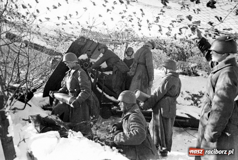 Zdjęcie w galerii na portalu naszraciborz.pl: Tajemnice II wojny światowej. Las Widok w Brzeziu FOTO i WIDEO wiadomości z regionu