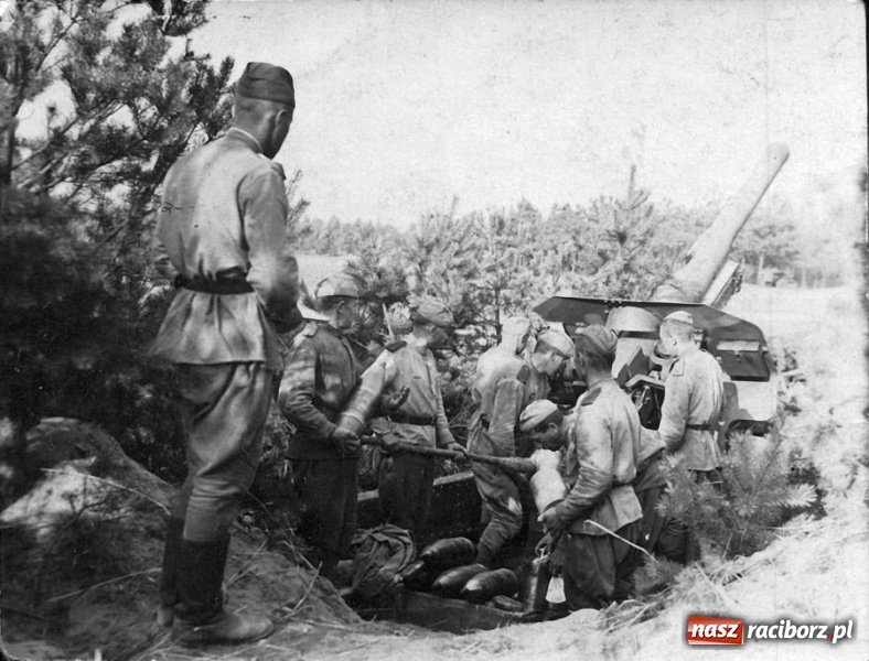 Zdjęcie w galerii na portalu naszraciborz.pl: Tajemnice II wojny światowej. Las Widok w Brzeziu FOTO i WIDEO wiadomości z regionu