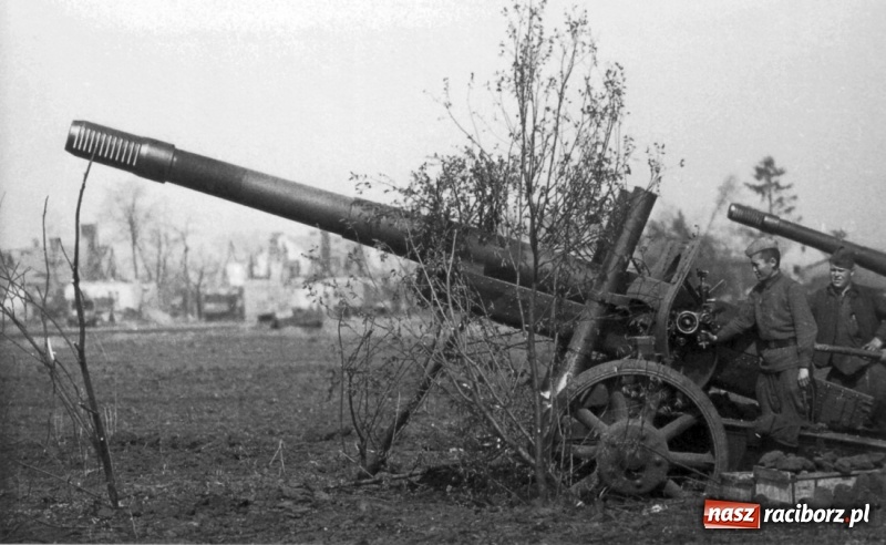 Zdjęcie w galerii na portalu naszraciborz.pl: Tajemnice II wojny światowej. Las Widok w Brzeziu FOTO i WIDEO wiadomości z regionu