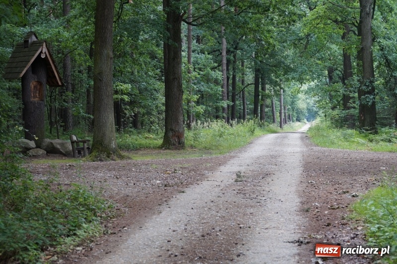 Zdjęcie w galerii na portalu naszraciborz.pl: Dwa ciekawe miejsca warte odwiedzenia w gminie Nędza wiadomości z regionu