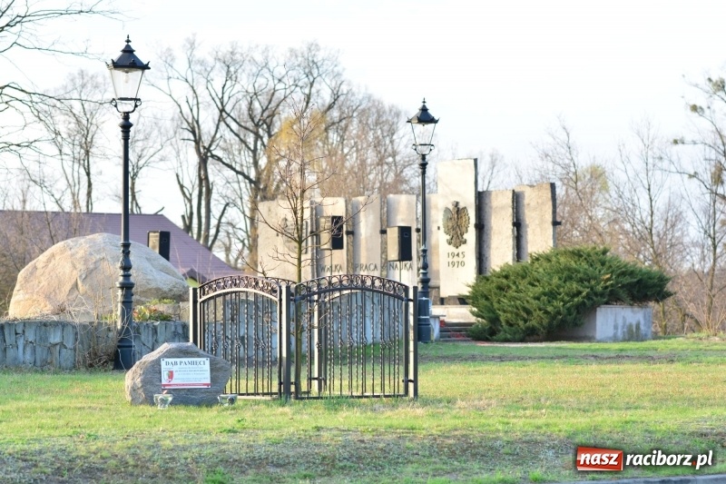 Zdjęcie w galerii na portalu naszraciborz.pl: Apel Poległych przy Dębie Katyńskim w Kuźni Raciborskiej  wiadomości z regionu