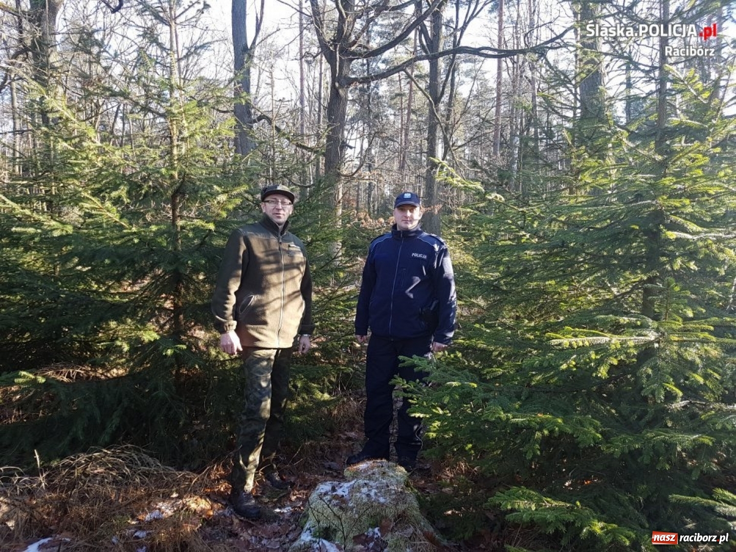 Zdjęcie w galerii na portalu naszraciborz.pl: Im dalej w las... tym więcej fotopułapek. Wysokość kary może zaboleć  wiadomości z regionu