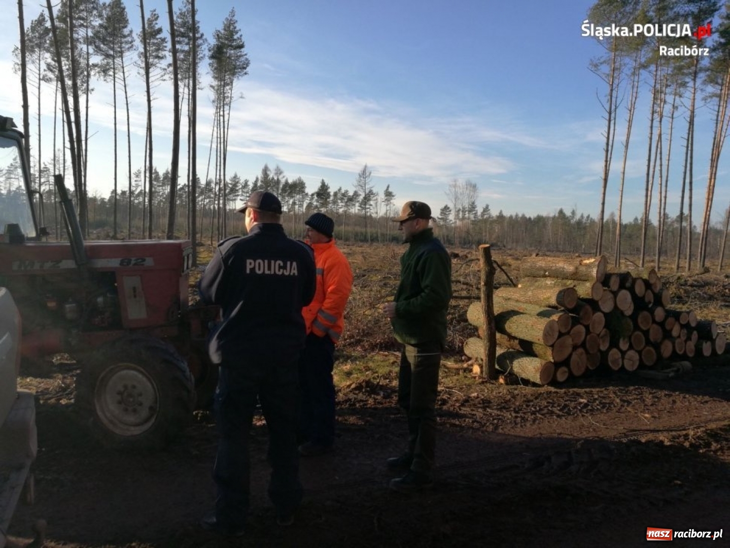 Zdjęcie w galerii na portalu naszraciborz.pl: Im dalej w las... tym więcej fotopułapek. Wysokość kary może zaboleć  wiadomości z regionu
