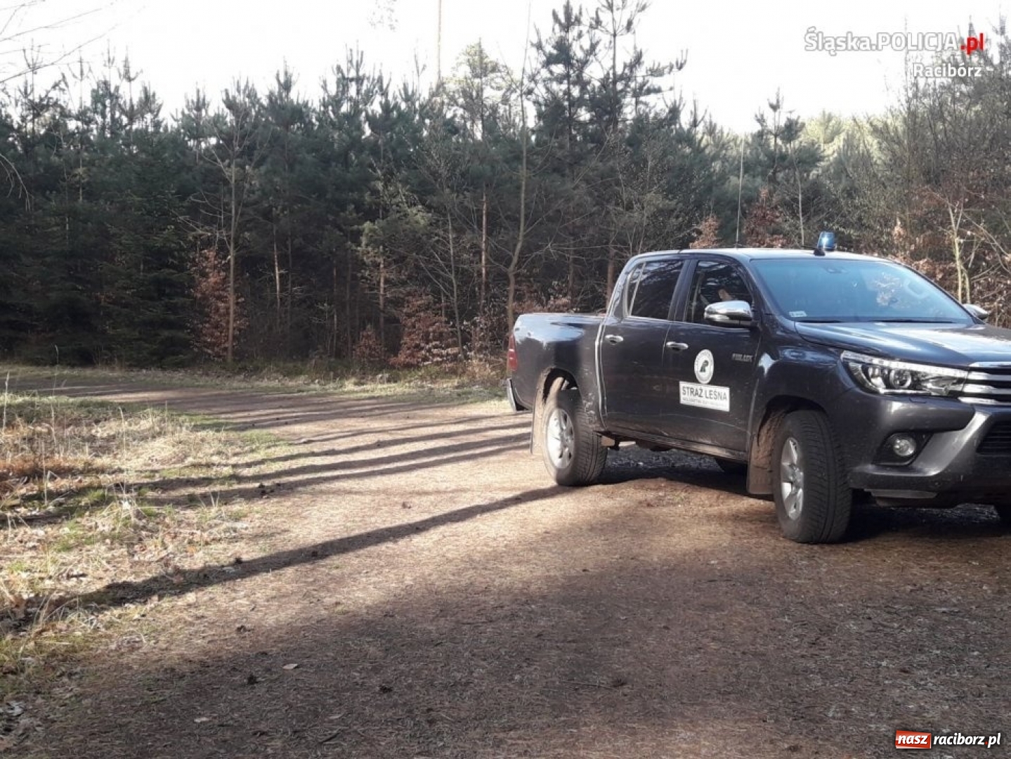 Zdjęcie w galerii na portalu naszraciborz.pl: Im dalej w las... tym więcej fotopułapek. Wysokość kary może zaboleć  wiadomości z regionu