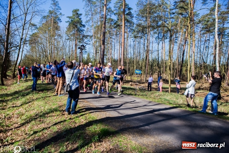 Zdjęcie w galerii na portalu naszraciborz.pl: Mateusz Wolnik zwycięzcą III Półmaratonu Leśnego Rafamet 2018 wiadomości z regionu