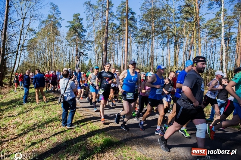 Zdjęcie w galerii na portalu naszraciborz.pl: Mateusz Wolnik zwycięzcą III Półmaratonu Leśnego Rafamet 2018 wiadomości z regionu
