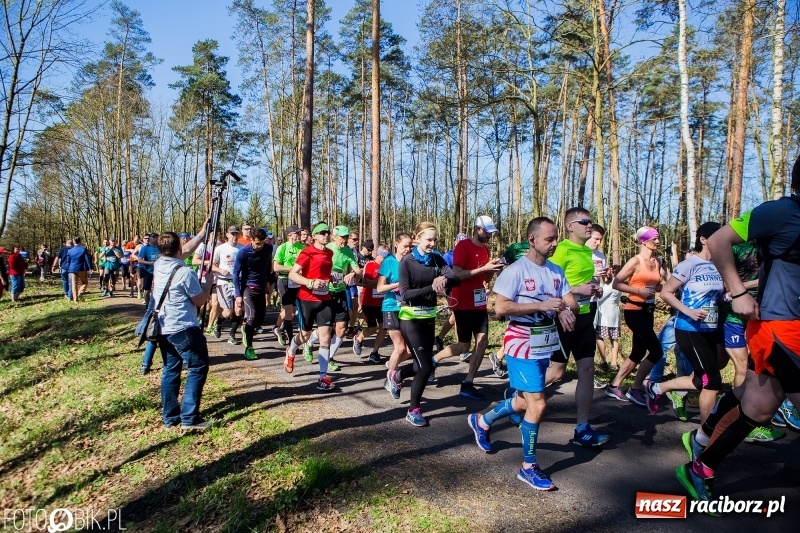 Zdjęcie w galerii na portalu naszraciborz.pl: Mateusz Wolnik zwycięzcą III Półmaratonu Leśnego Rafamet 2018 wiadomości z regionu