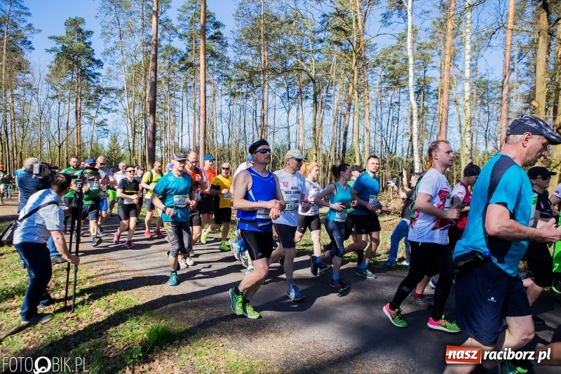 Zdjęcie w galerii na portalu naszraciborz.pl: Mateusz Wolnik zwycięzcą III Półmaratonu Leśnego Rafamet 2018 wiadomości z regionu
