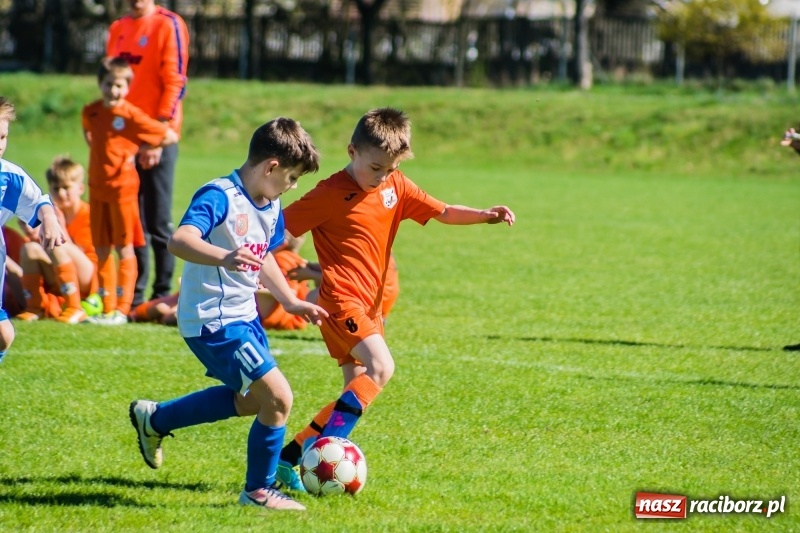 Zdjęcie w galerii na portalu naszraciborz.pl: Żaki Rafako zmierzyły się z Unią. Raszczyce nie przyjechały wiadomości z regionu