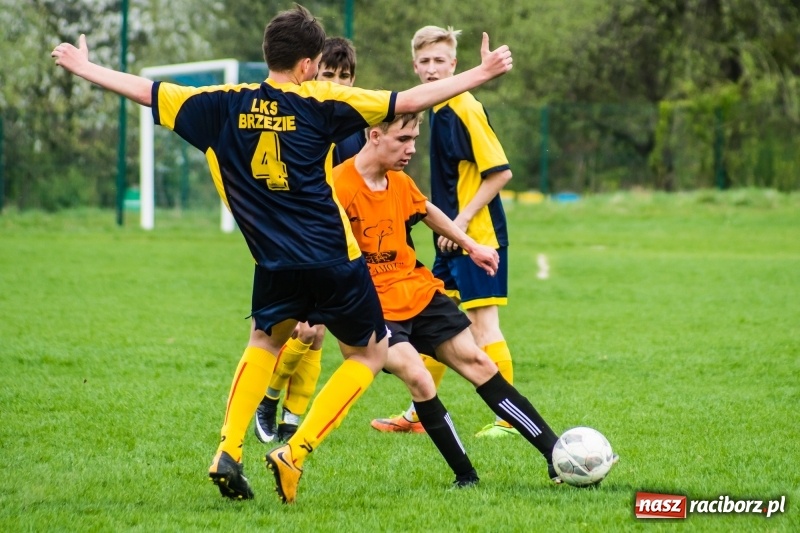 Zdjęcie w galerii na portalu naszraciborz.pl: Juniorzy Syryni bezlitośni dla Brzezia wiadomości z regionu