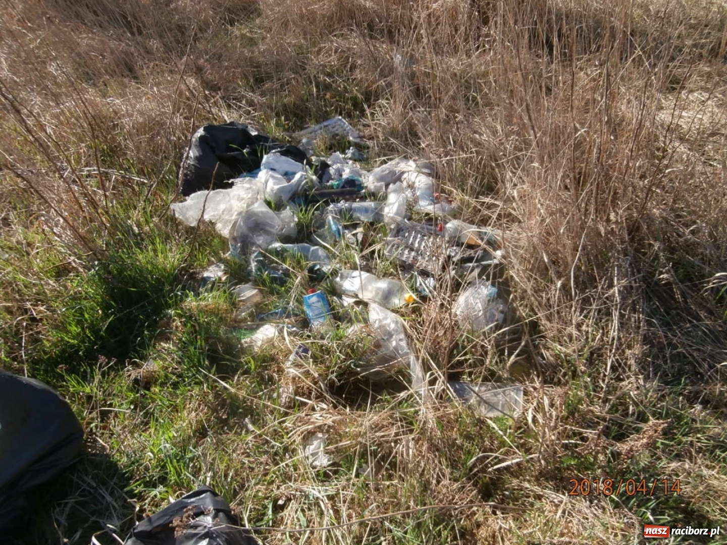 Zdjęcie w galerii na portalu naszraciborz.pl: Akcja zbierania śmieci wokół zbiorników wodnych wiadomości z regionu