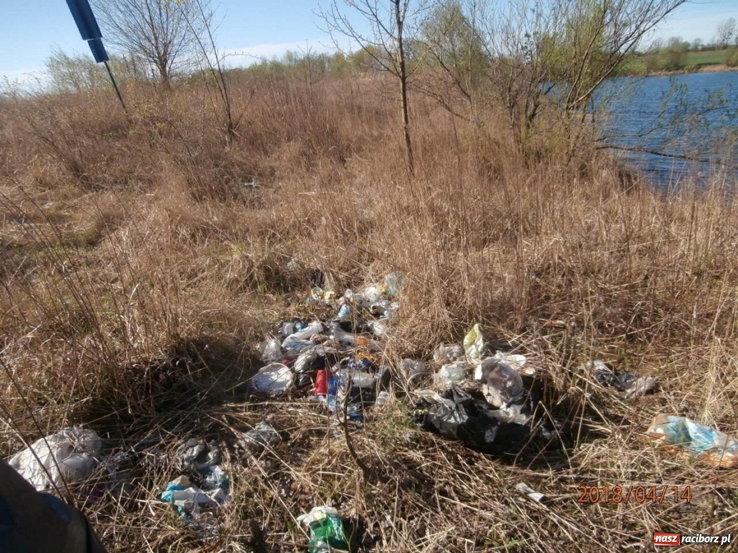 Zdjęcie w galerii na portalu naszraciborz.pl: Akcja zbierania śmieci wokół zbiorników wodnych wiadomości z regionu
