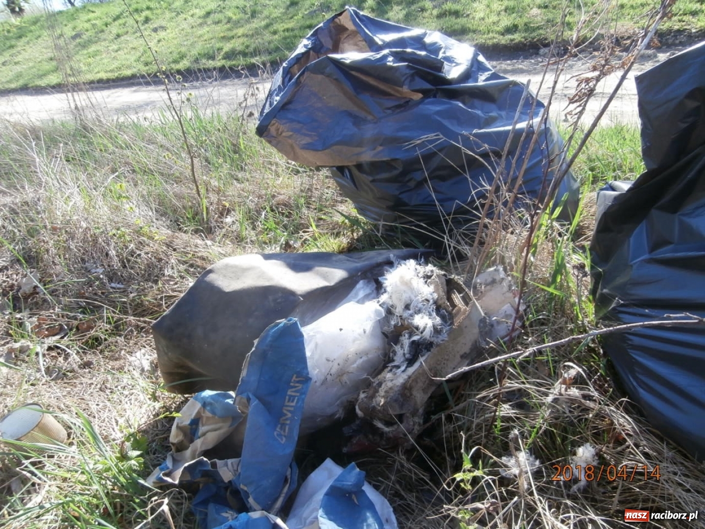Zdjęcie w galerii na portalu naszraciborz.pl: Akcja zbierania śmieci wokół zbiorników wodnych wiadomości z regionu