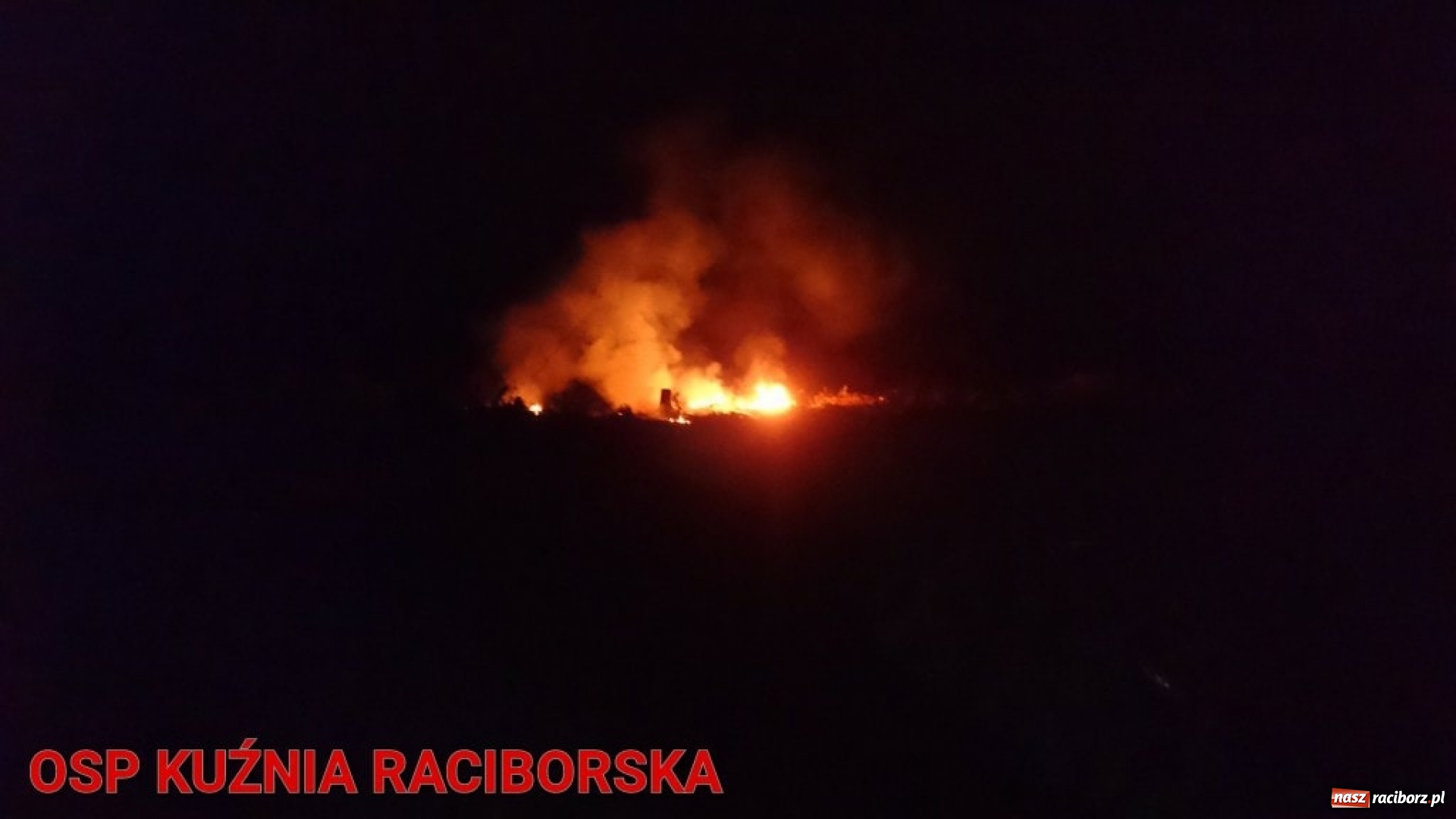 Zdjęcie w galerii na portalu naszraciborz.pl: Pożar lasu w Kuźni. Z ogniem walczyło osiem zastępów wiadomości z regionu