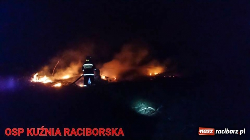 Zdjęcie w galerii na portalu naszraciborz.pl: Pożar lasu w Kuźni. Z ogniem walczyło osiem zastępów wiadomości z regionu