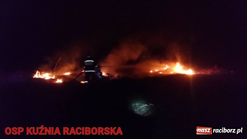 Zdjęcie w galerii na portalu naszraciborz.pl: Pożar lasu w Kuźni. Z ogniem walczyło osiem zastępów wiadomości z regionu