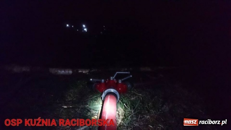 Zdjęcie w galerii na portalu naszraciborz.pl: Pożar lasu w Kuźni. Z ogniem walczyło osiem zastępów wiadomości z regionu