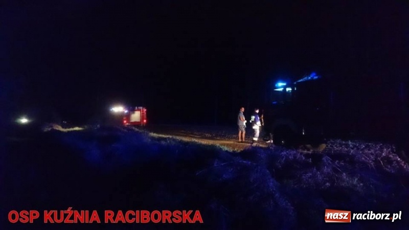 Zdjęcie w galerii na portalu naszraciborz.pl: Pożar lasu w Kuźni. Z ogniem walczyło osiem zastępów wiadomości z regionu