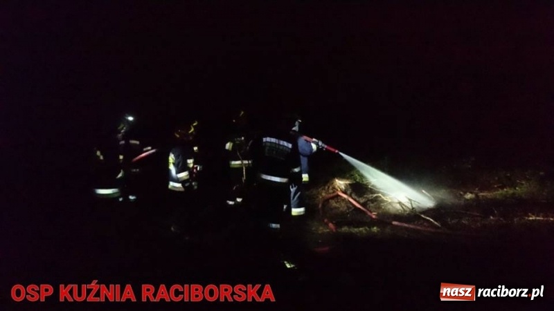 Zdjęcie w galerii na portalu naszraciborz.pl: Pożar lasu w Kuźni. Z ogniem walczyło osiem zastępów wiadomości z regionu