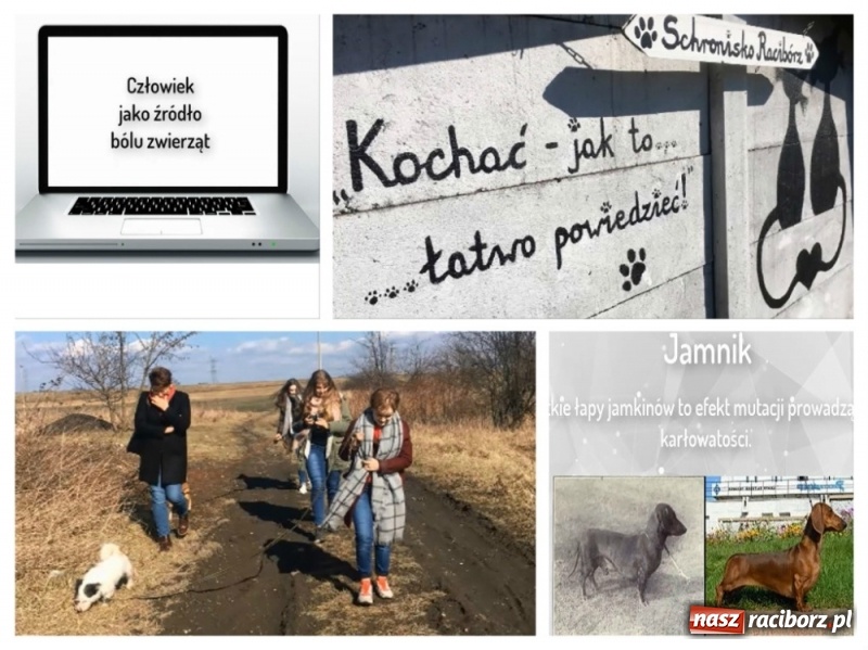 Zdjęcie w galerii na portalu naszraciborz.pl: Zwierzę to nie zabawka! Gimnazjaliści z Nędzy prezentowali swoje projekty wiadomości z regionu