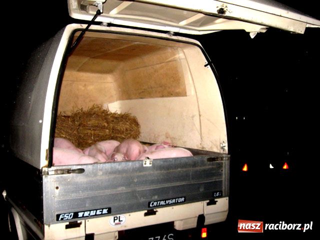 Zdjęcie w galerii na portalu naszraciborz.pl: Skandal z targowiskiem wiadomości z regionu