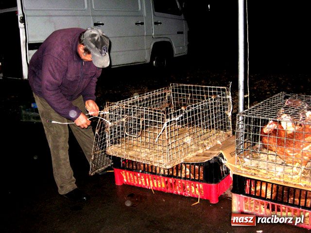 Zdjęcie w galerii na portalu naszraciborz.pl: Skandal z targowiskiem wiadomości z regionu