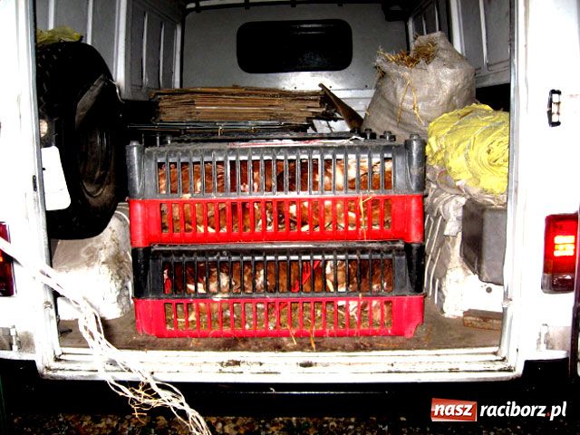 Zdjęcie w galerii na portalu naszraciborz.pl: Skandal z targowiskiem wiadomości z regionu