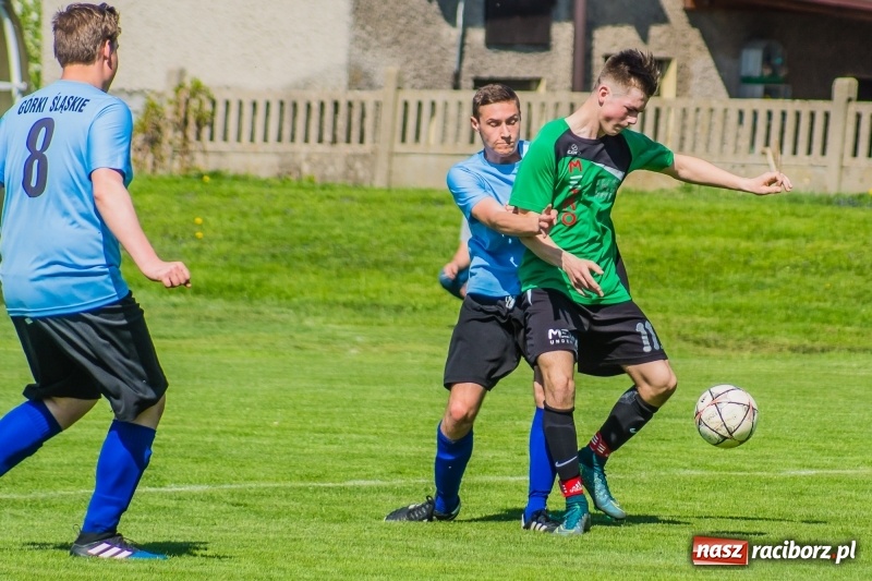 Zdjęcie w galerii na portalu naszraciborz.pl: Juniorzy Górek Śląskich lepsi od Studziennej wiadomości z regionu