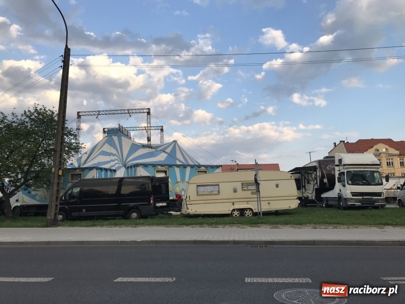 Zdjęcie w galerii na portalu naszraciborz.pl: Straż miejska kontrolowała wczoraj cyrk Arena. Powodem zapowiedź tresury zwierząt wiadomości z regionu