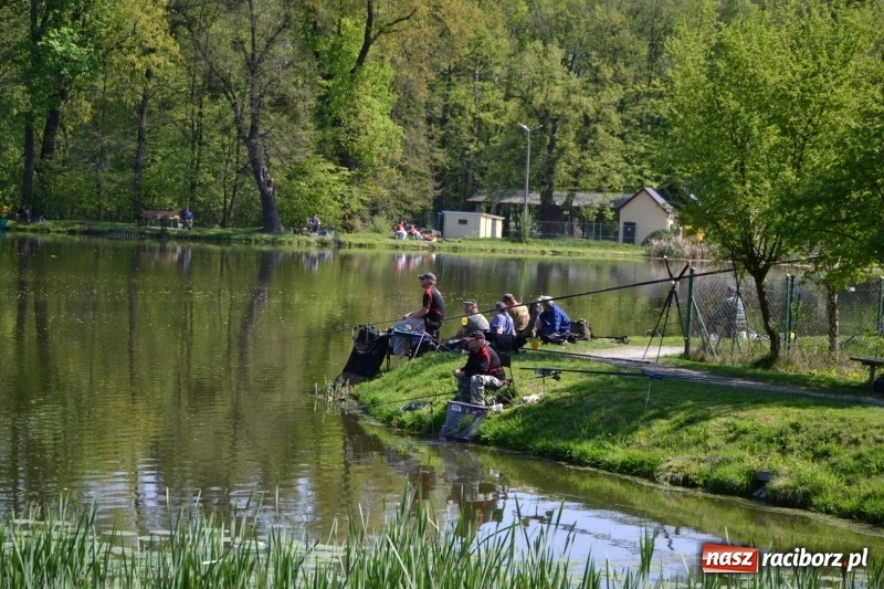 Zdjęcie w galerii na portalu naszraciborz.pl: Sezon wędkarski na Trzecioku rozpoczęty  wiadomości z regionu