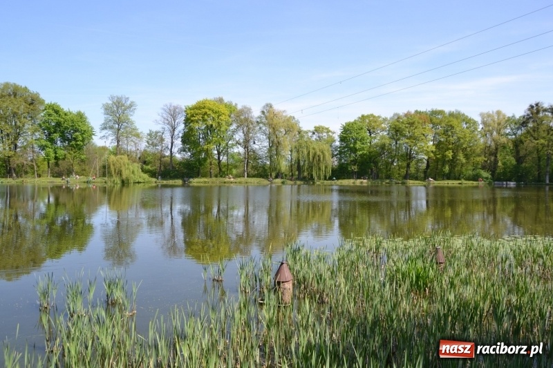 Zdjęcie w galerii na portalu naszraciborz.pl: Sezon wędkarski na Trzecioku rozpoczęty  wiadomości z regionu