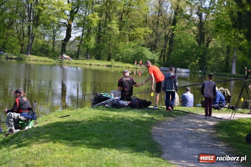 Zdjęcie w galerii na portalu naszraciborz.pl: Sezon wędkarski na Trzecioku rozpoczęty  wiadomości z regionu