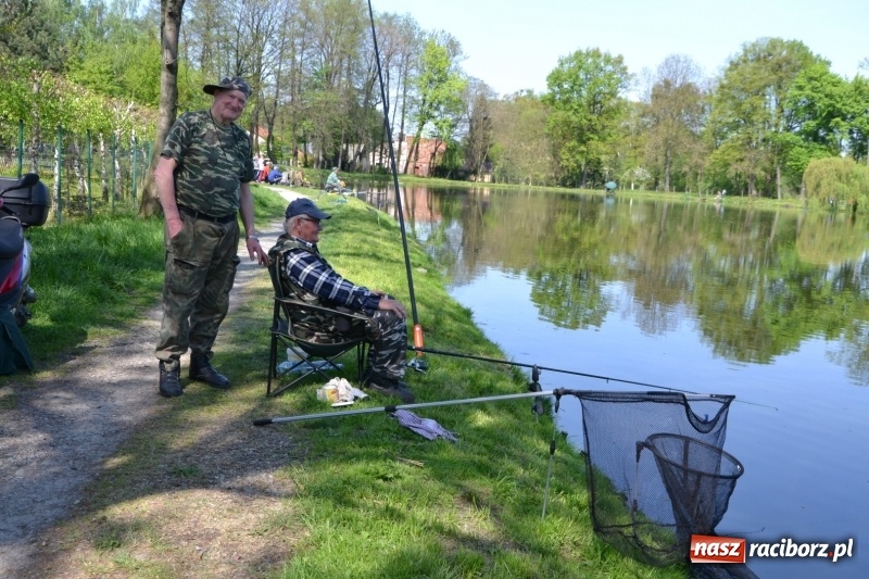 Zdjęcie w galerii na portalu naszraciborz.pl: Sezon wędkarski na Trzecioku rozpoczęty  wiadomości z regionu