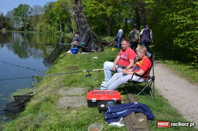 Zdjęcie w galerii na portalu naszraciborz.pl: Sezon wędkarski na Trzecioku rozpoczęty  wiadomości z regionu