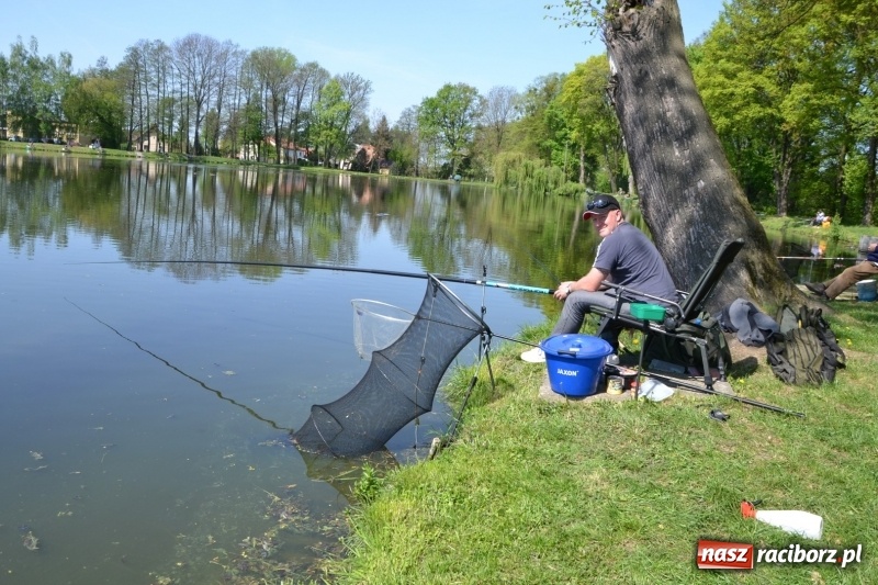 Zdjęcie w galerii na portalu naszraciborz.pl: Sezon wędkarski na Trzecioku rozpoczęty  wiadomości z regionu