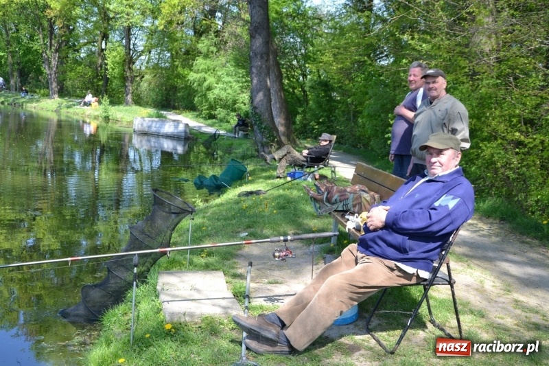 Zdjęcie w galerii na portalu naszraciborz.pl: Sezon wędkarski na Trzecioku rozpoczęty  wiadomości z regionu