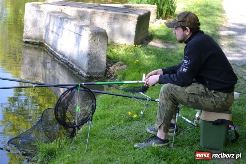 Zdjęcie w galerii na portalu naszraciborz.pl: Sezon wędkarski na Trzecioku rozpoczęty  wiadomości z regionu